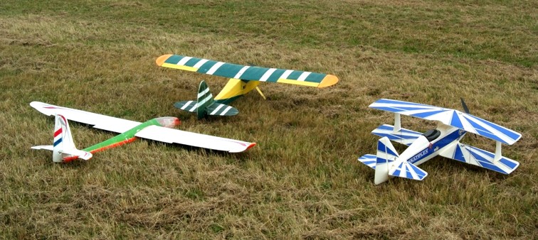 L19 et Easy Glider de Jean-Louis