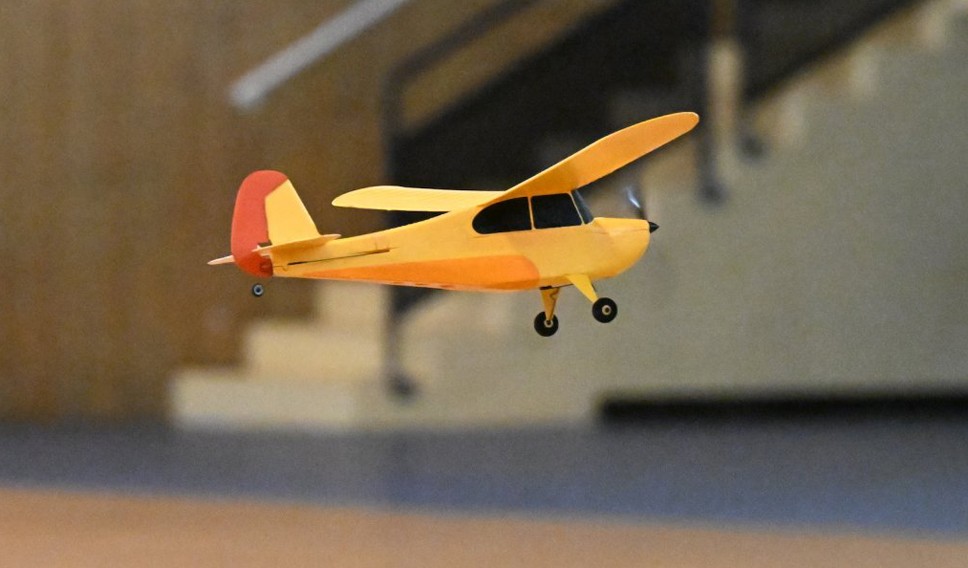 Magnifique petit piper cub