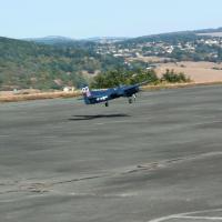 Tigercat 11